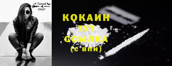 амф Каменка