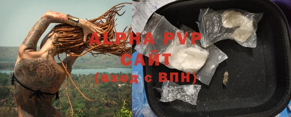 эйфоретик Карпинск